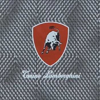 Tonino Lamborghini Montecarlo Decoro Logo 15x15 / Тонино Ламборгини Монтекарло
 Декору Лого
 15x15 